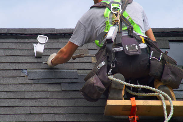 Best Roof Gutter Cleaning  in Au Sable, MI