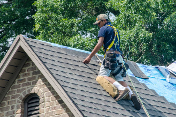 Best Residential Roofing Contractor  in Au Sable, MI